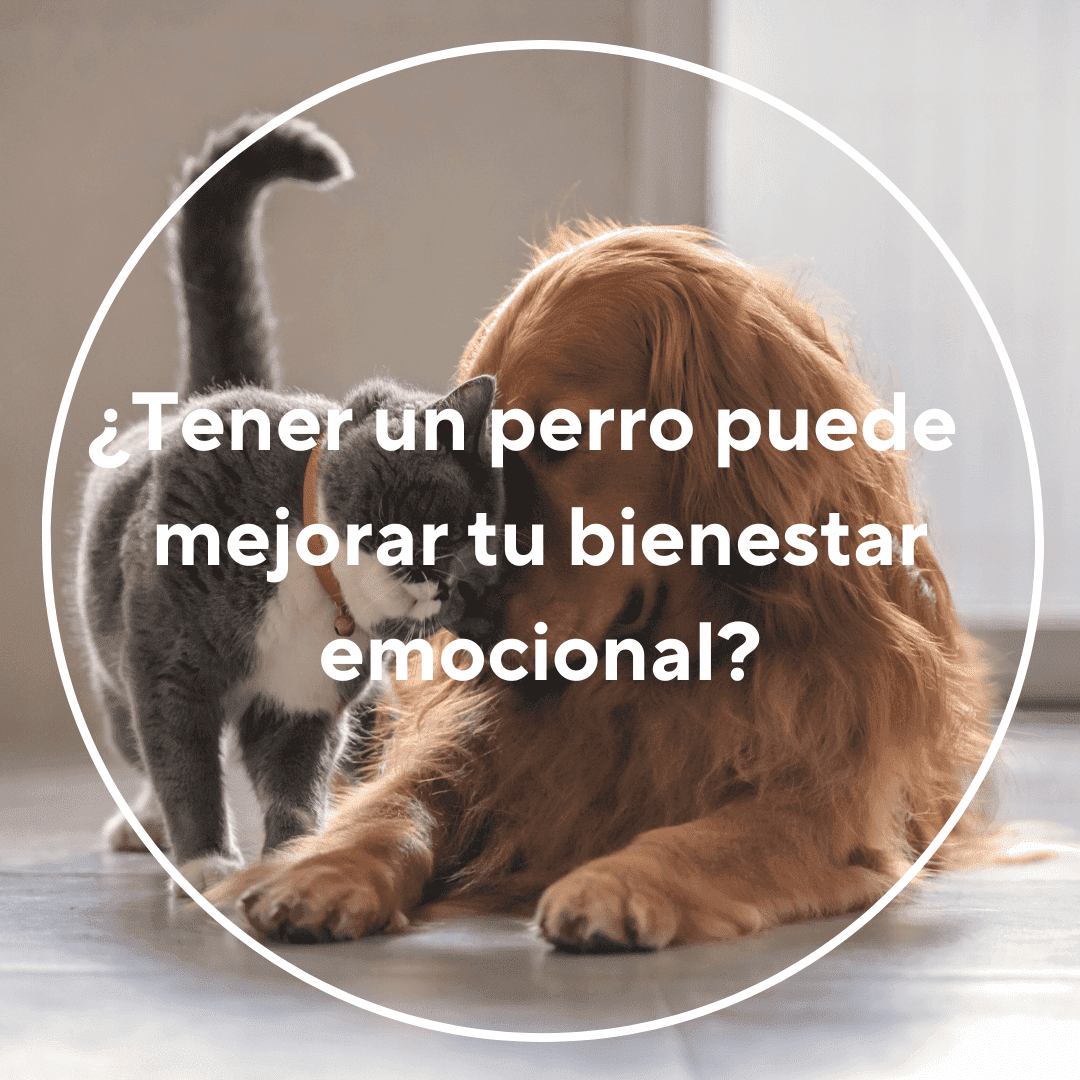 perro y salud mental