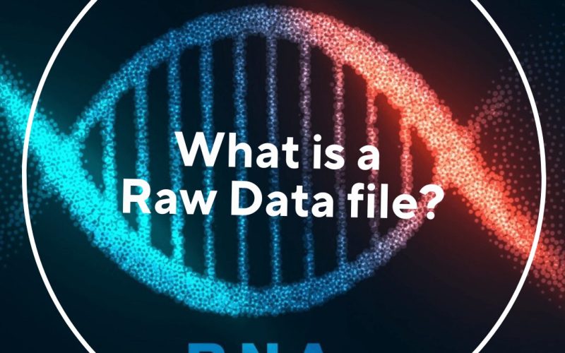 raw data file